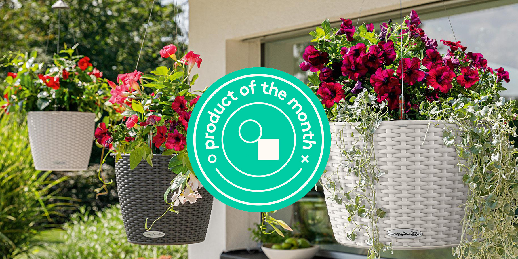 Product of the month : Self-watering hanging plant pot 20%