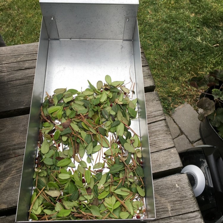Berry cleaner Berrybooster