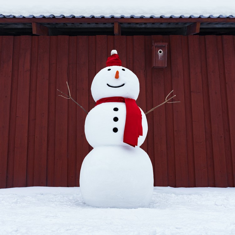 Snow sculpture sack