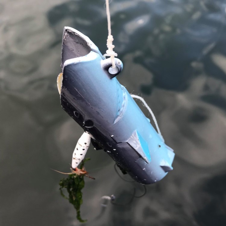 The Drag Shark - Increases the chance of catching the fish