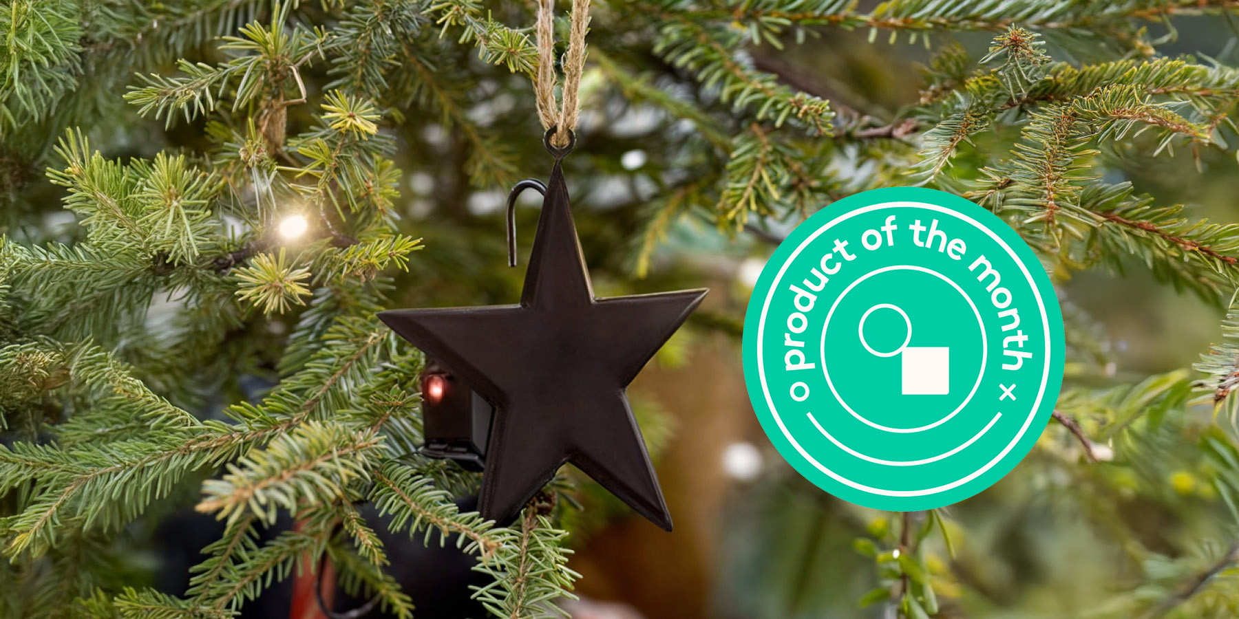 Product of the month: Christmas tree water sensor 25%