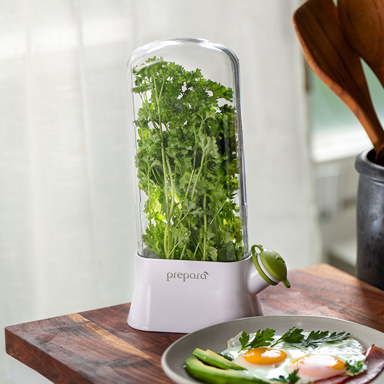 Fresh herb storage in the group House & Home / Kitchen at SmartaSaker.se (10768)