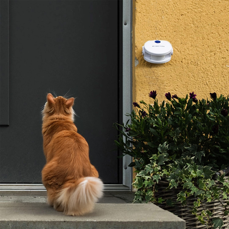 Cat Doorbell in the group Leisure / Pets / Cat stuff at SmartaSaker.se (10913)