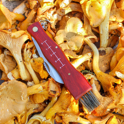 Mushroom Knife in the group Leisure / Outdoor life / Berries & Mushrooms at SmartaSaker.se (11128)