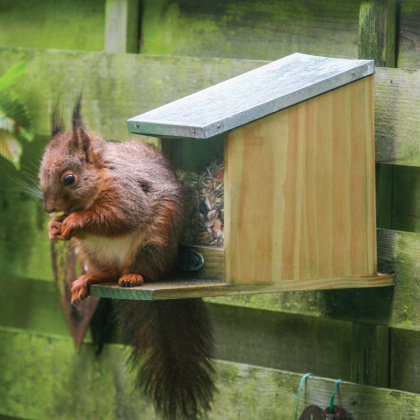 Squirrel feeder in the group House & Home / Garden / Nests and hotels at SmartaSaker.se (11820)