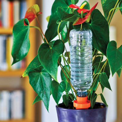 Holiday Watering Cones in the group House & Home / Garden / Irrigation at SmartaSaker.se (12707)