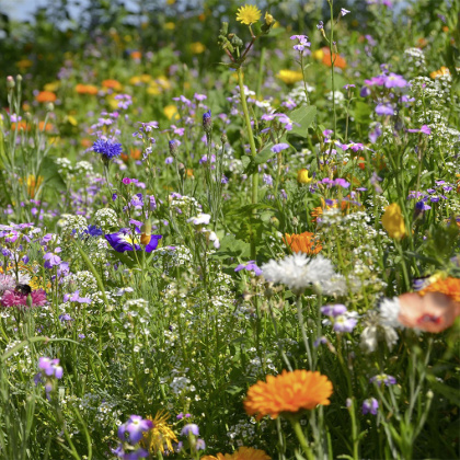 Turfquick flower garden in the group House & Home / Garden / Cultivation at SmartaSaker.se (12963)