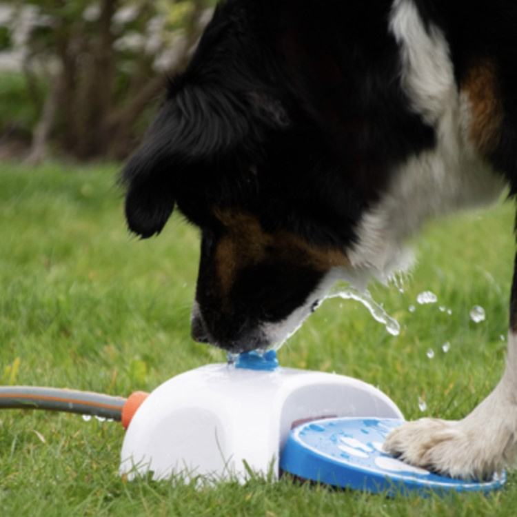 Dog Water Fountain in the group Leisure / Pets / Dog stuff at SmartaSaker.se (13269)