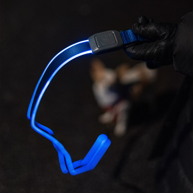 Chargeable leash in the group Leisure / Pets / Dog stuff at SmartaSaker.se (13680)