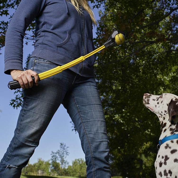 Collapsible ball thrower in the group Leisure / Pets / Dog stuff at SmartaSaker.se (13681)