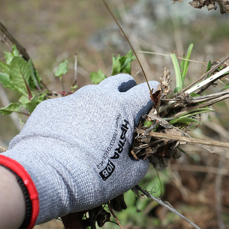 Work gloves in the group House & Home / Garden at SmartaSaker.se (13956)