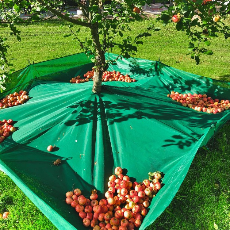 Harvesting nets for fruit trees in the group House & Home / Garden at SmartaSaker.se (13970)