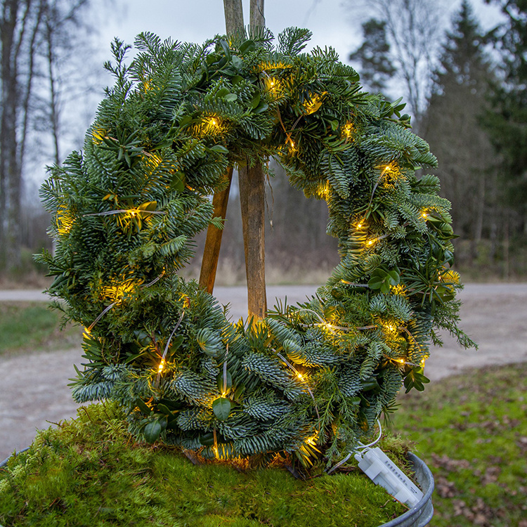 Transparent Fairy Lights Indoor and Outdoor in the group Lighting at SmartaSaker.se (14121)