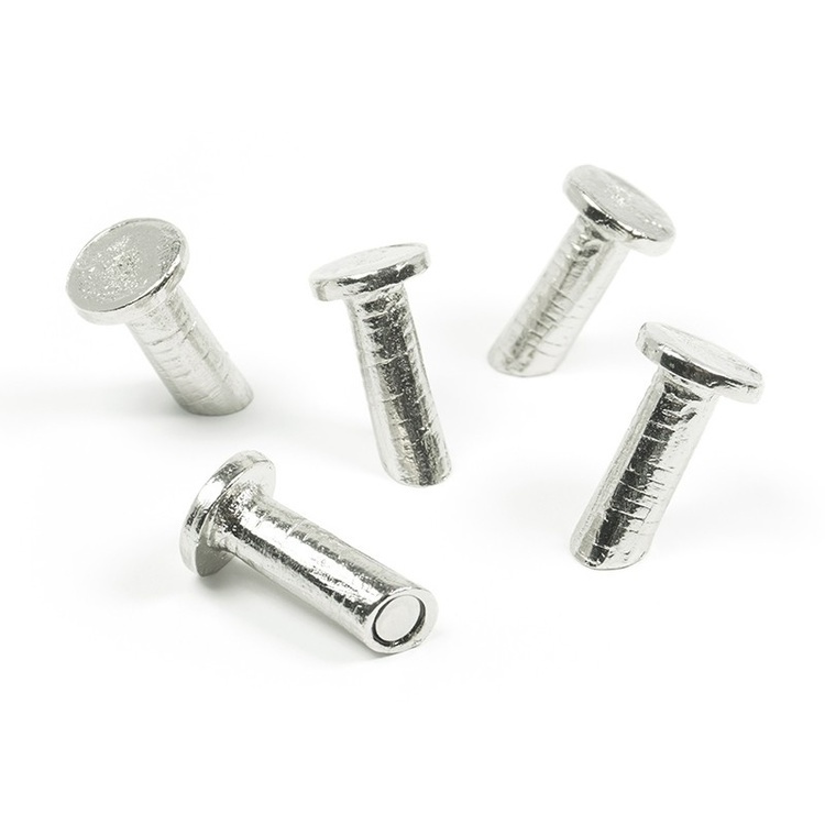 Magnets, set of 5, NAIL, Ø 1,5 x H 2,8 cm, silver in the group Storage / Magnets and adhesives at SmartaSaker.se (41978)