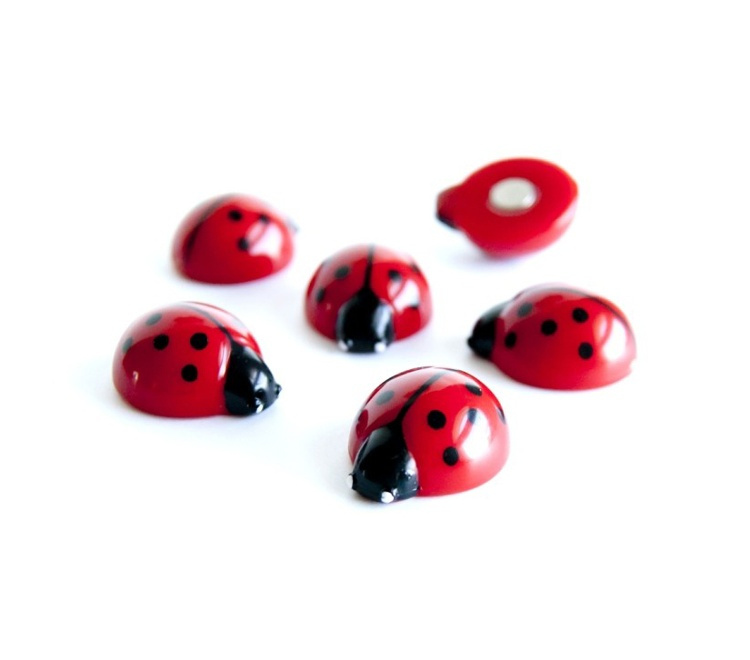 Magnets LADYBUG, set of 6, red in the group Storage / Magnets and adhesives at SmartaSaker.se (41998)