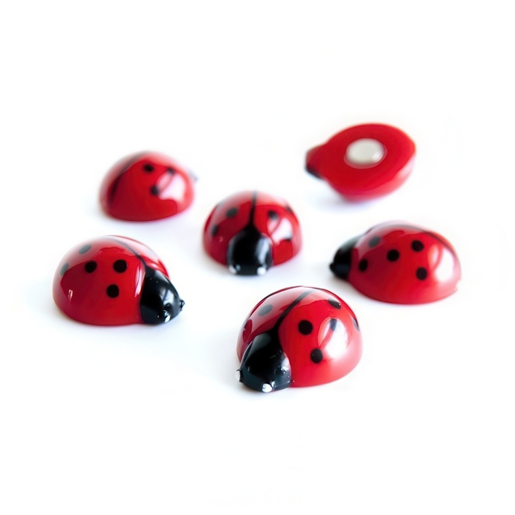 Magnets LADYBUG, set of 6, red in the group Storage / Magnets and adhesives at SmartaSaker.se (41998)