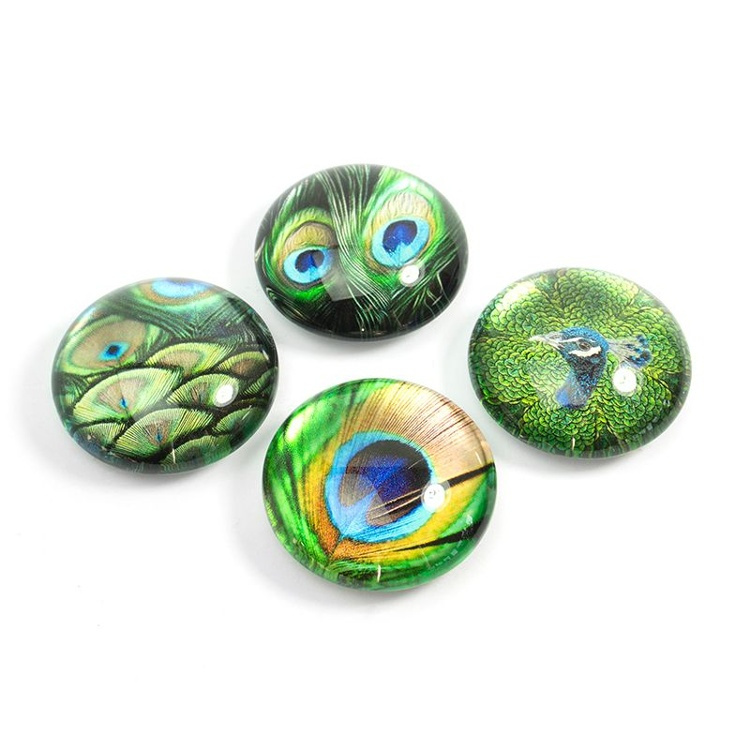 Magnets, Set of 4, PEACOCK, Ø 3,5 cm in the group Storage / Magnets and adhesives at SmartaSaker.se (41999)