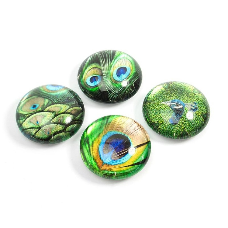 Magnets, Set of 4, PEACOCK, Ø 3,5 cm in the group Storage / Magnets and adhesives at SmartaSaker.se (41999)