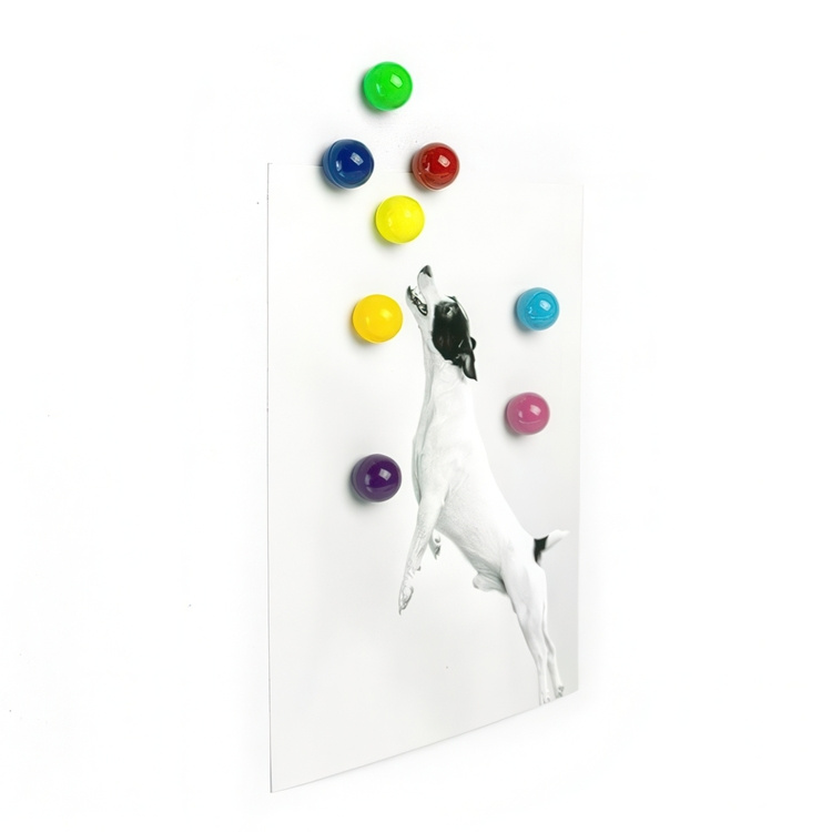 Magnets, Set of 8, RAINBALL, Ø 1,1 cm, Assorted in the group Storage / Magnets and adhesives at SmartaSaker.se (42007)