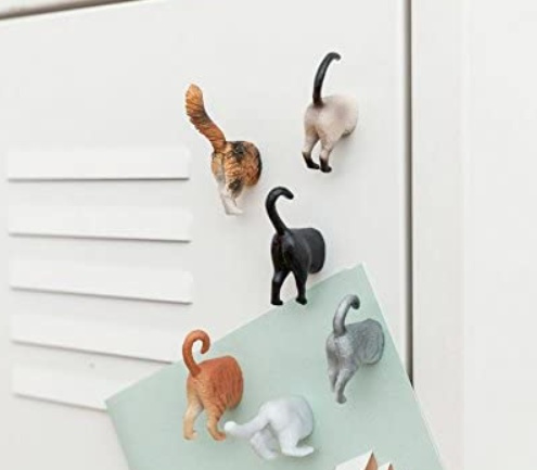 Magnets, Set of 6, CAT BUTTS, Assorted in the group Storage / Magnets and adhesives at SmartaSaker.se (42018)