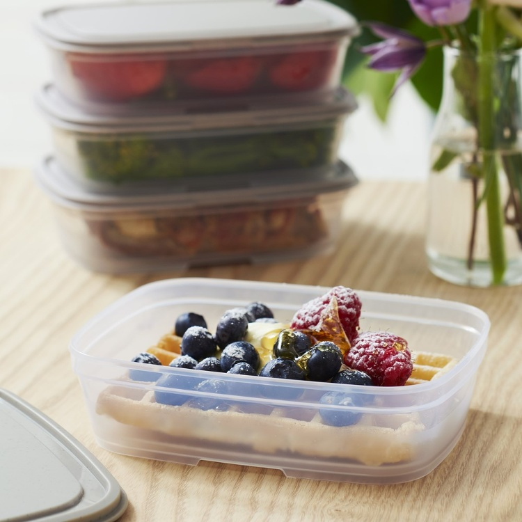 Food storage, 0 ,5 L, SMARTSTORE SUSTAIN, Transparent / Earl grey in the group Storage / Kitchen storage / Food containers / Plastic at SmartaSaker.se (42140)