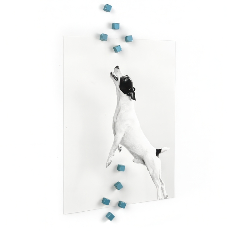 Magnets mini, Strong, Set of 10, KUBIQ, 0,5 cm, Silver blue in the group Storage / Magnets and adhesives / Strong magnets at SmartaSaker.se (42274)