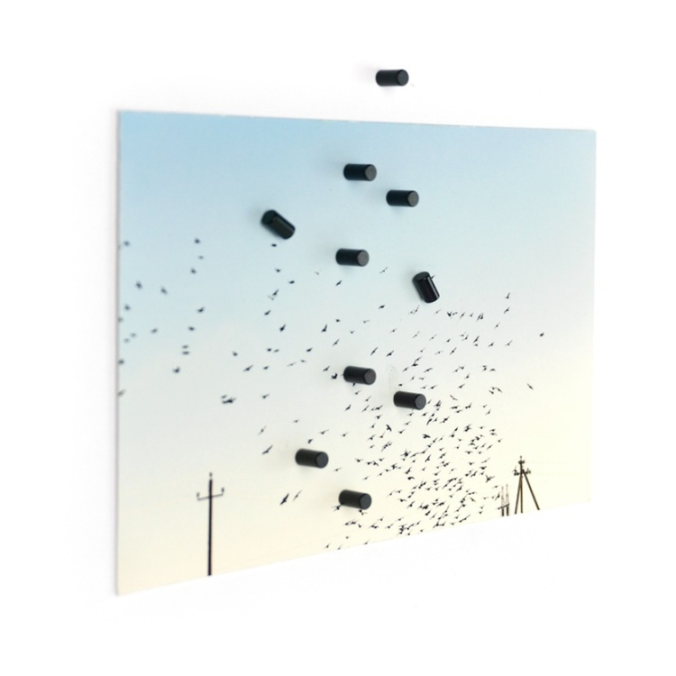 Magnets, Mini, Set of 10, MAGNUM, small and super strong, Ø 0,4 x H 0,7 cm , Black in the group Storage / Magnets and adhesives at SmartaSaker.se (42276)