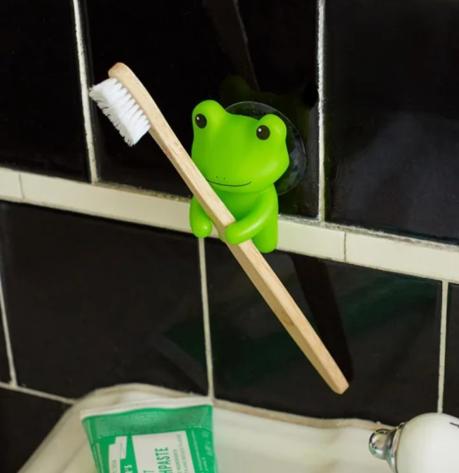 Toothbrush holder with suction, FROG, 4 x 5 x H 6 cm, Green in the group Storage / Bathroom storage at SmartaSaker.se (42929)