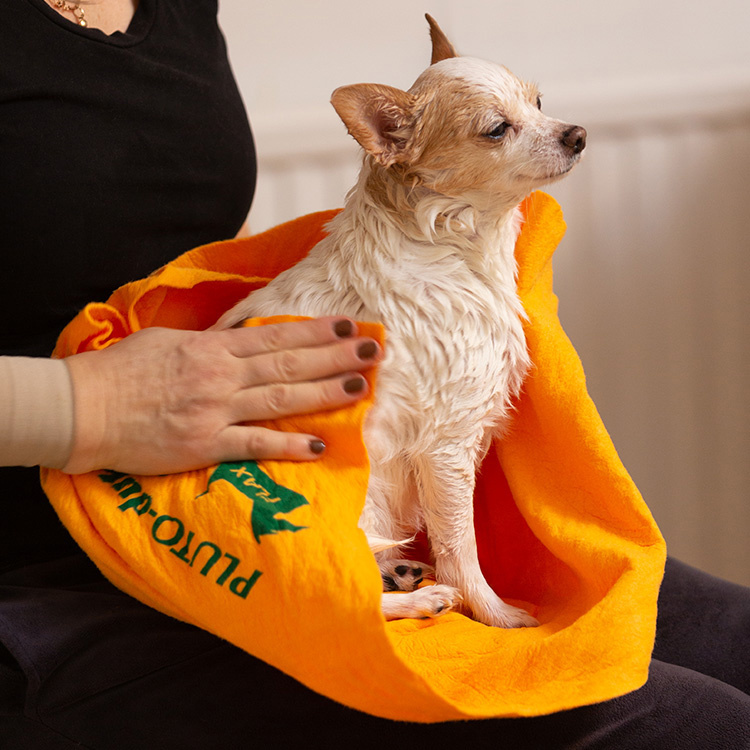 Dog towel in the group Leisure / Pets / Dog stuff at SmartaSaker.se (10511)