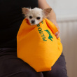 Dog towel Dog towel