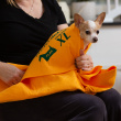 Dog towel Dog towel