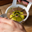 Apple Slicer Apple Slicer