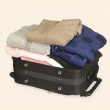 Vacuum bags 4-pack Vacuum bags 4-pack