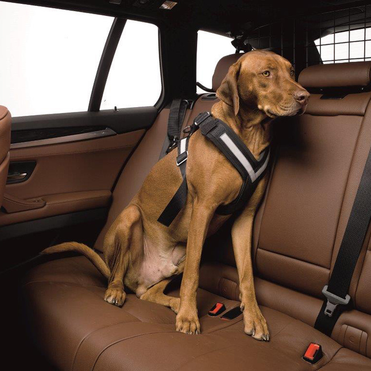 Seatbelt Harness for Dogs in the group Leisure / Pets / Dog stuff at SmartaSaker.se (10644)