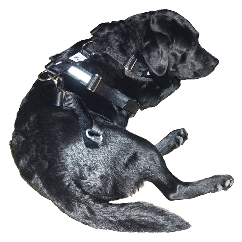 Seatbelt Harness for Dogs in the group Leisure / Pets / Dog stuff at SmartaSaker.se (10644)