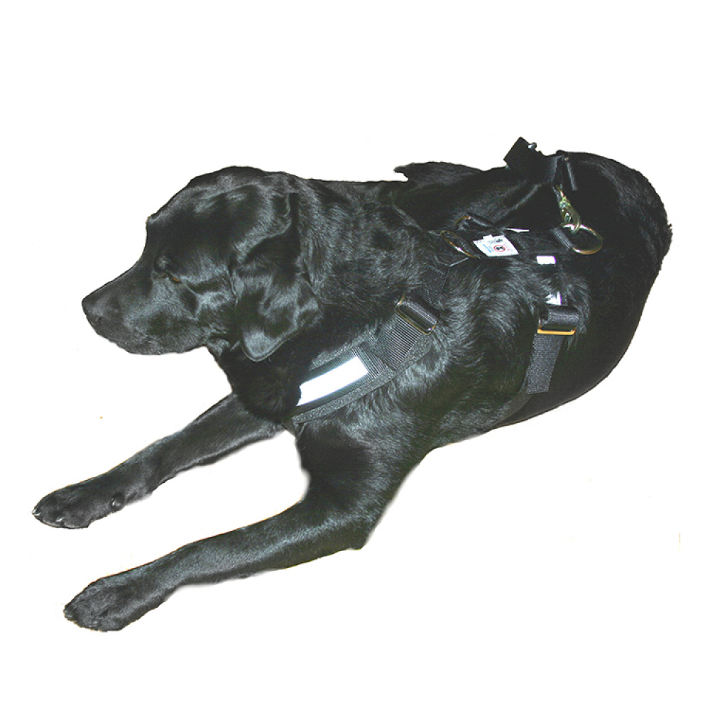 Seatbelt Harness for Dogs in the group Leisure / Pets / Dog stuff at SmartaSaker.se (10644)