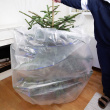 Barry - Christmas tree disposal bag Barry - Christmas tree disposal bag