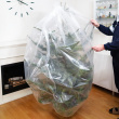 Barry - Christmas tree disposal bag Barry - Christmas tree disposal bag