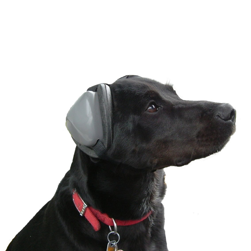 Ear protection for dogs in the group Leisure / Pets / Dog stuff at SmartaSaker.se (10806)
