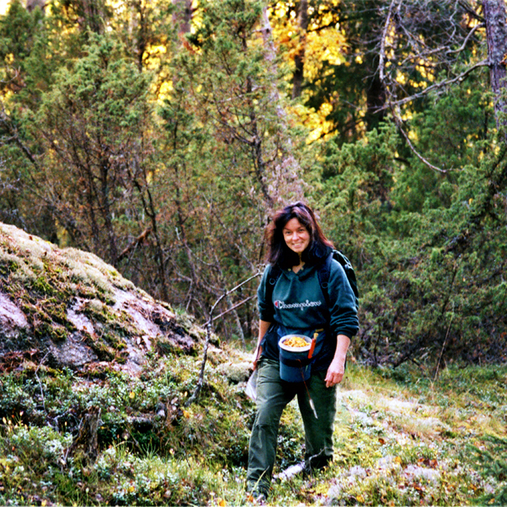 Berry Belt in the group Leisure / Outdoor life / Berries & Mushrooms at SmartaSaker.se (10907)