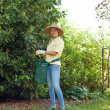 Harvesting bag