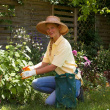 Harvesting bag