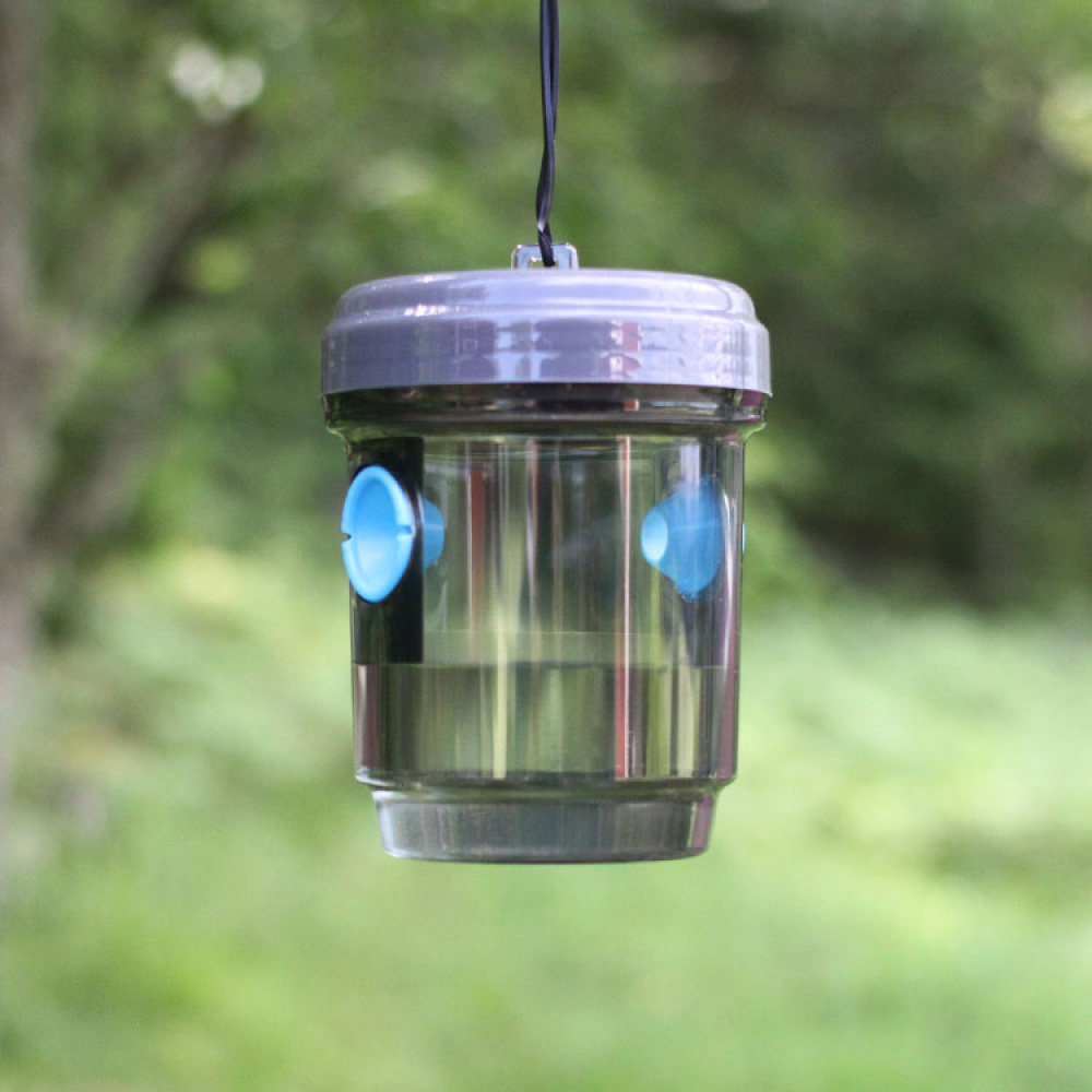 Fly and wasp trap in the group Safety / Pests / Outdoor Pests at SmartaSaker.se (11075)