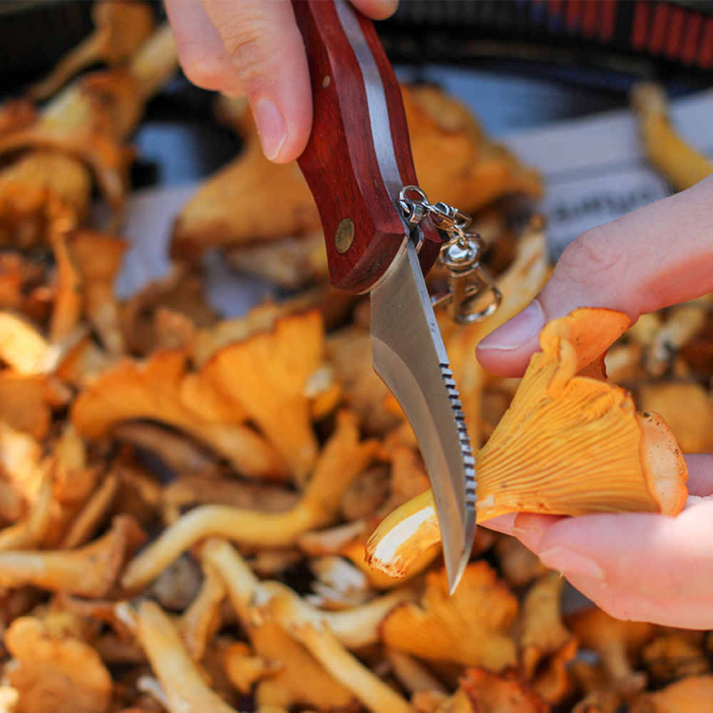 Mushroom Knife in the group Leisure / Outdoor life / Berries & Mushrooms at SmartaSaker.se (11128)