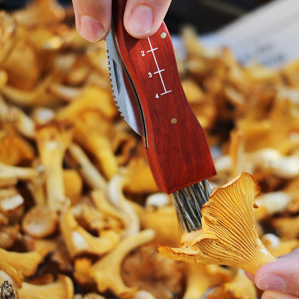 Mushroom Knife in the group Leisure / Outdoor life / Berries & Mushrooms at SmartaSaker.se (11128)