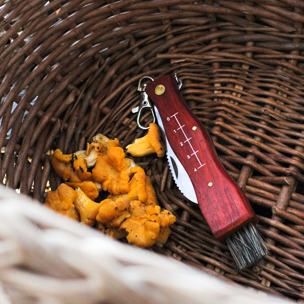 Mushroom Knife in the group Leisure / Outdoor life / Berries & Mushrooms at SmartaSaker.se (11128)