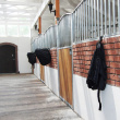 HITCH smart protection and suspension for your riding saddle