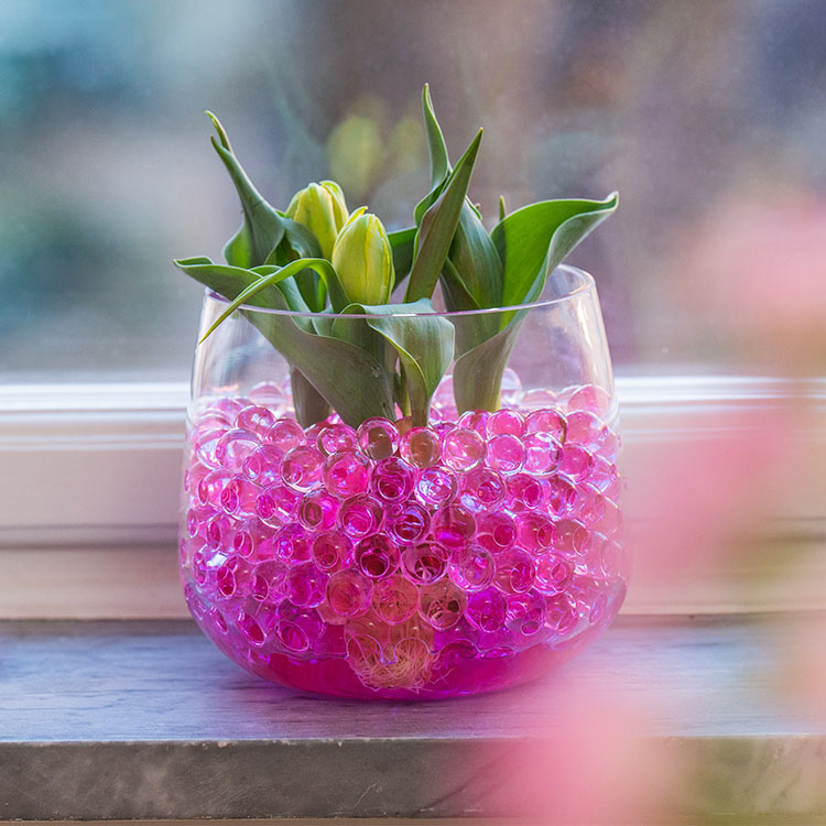 Buy water beads for plants online 