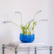 Water beads for plants Water beads for plants