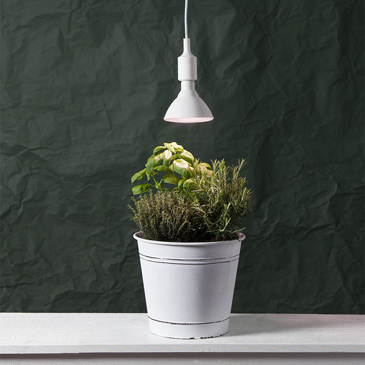 Grow Lamp in the group Gift Suggestions / Personalised gifts / Gift for gardening enthusiasts at SmartaSaker.se (11638)